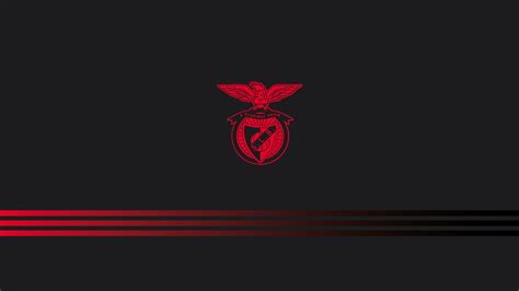 Zaynof - Sl Benfica - 2560x1440 Wallpaper - teahub.io