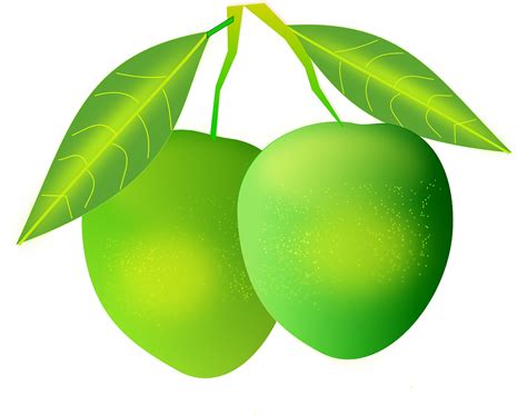 Mangga Hijau Buah - Gambar vektor gratis di Pixabay - Pixabay