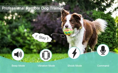 Amazon.com: Dog Training Shock Collar, Voice Commands Remote Electric ...