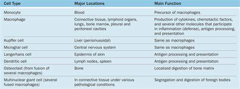 Connective Tissue | Basicmedical Key