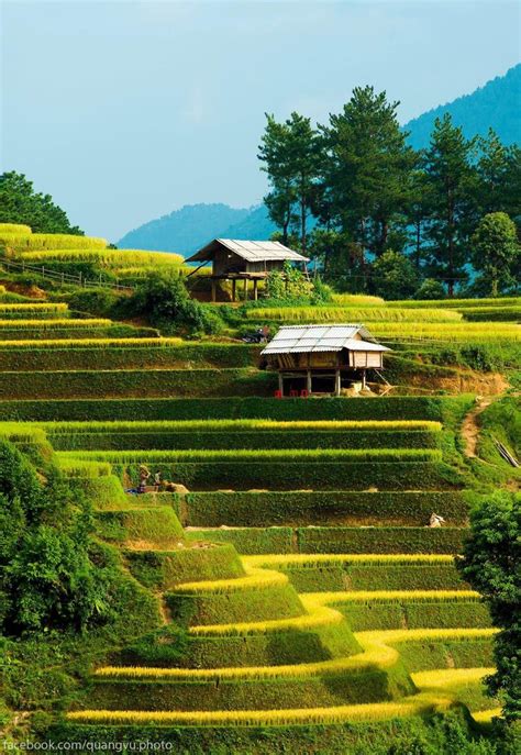 Hiking Sapa highlighted Tour from Hanoi | Vietnam Travel 2024/25 Hanoi ...