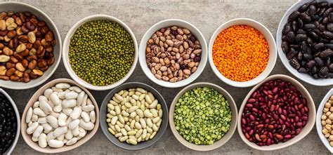 A Guide to Pulses and the Different Types of Pulses