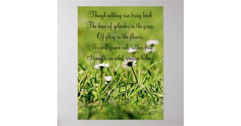 Splendor In The Grass poster | Zazzle