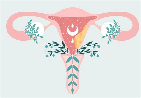 Diagram Uterus Stock Illustrations – 1,815 Diagram Uterus Stock Illustrations, Vectors & Clipart ...