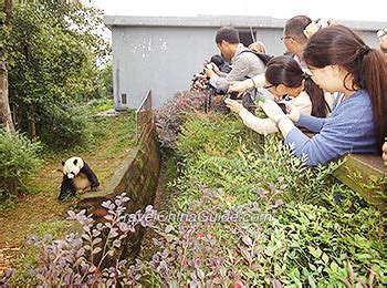 Chengdu Research Base of Giant Panda Breeding, Sichuan