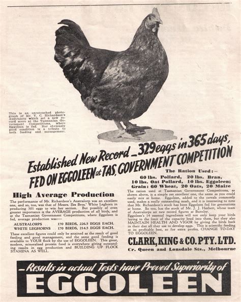 chickenhistory