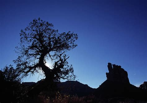 Monument Valley Tree Silhouette Photograph by Santa Fe - Fine Art America