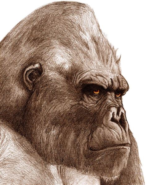 King Kong fan art on KaijuFanClub - DeviantArt | King kong, Monkey art ...