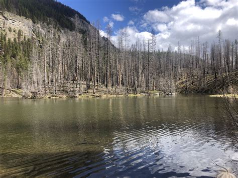 Photos of Morrell Falls National Recreation Trail - Montana | AllTrails