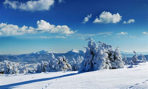 Winter Wonderland: Images of Stunning Snowy Landscapes | Live Science