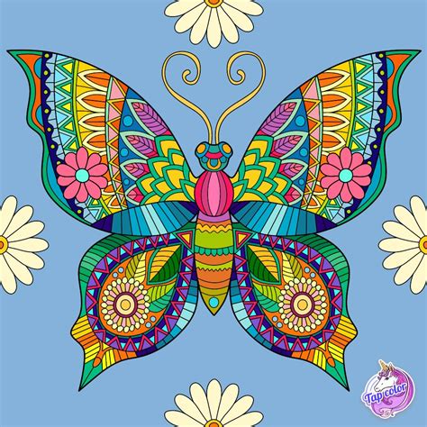Butterfly Zentangle Drawings Butterfly Coloring Page - vrogue.co