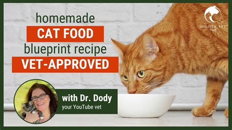 Homemade Cat Food Recipes Vet Approved | Basic Blueprint - Bombofoods