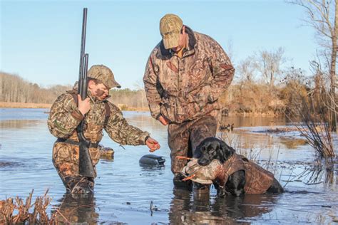 Hunting Land: Why You Should Invest - Wildfowl