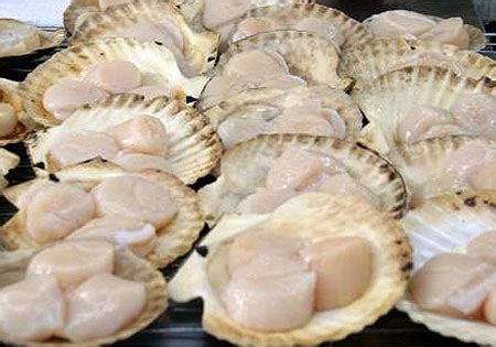 Sea Scallops Near Me | Fresh Scallops Shipped | Overnight Delivery – FARM-2-MARKET