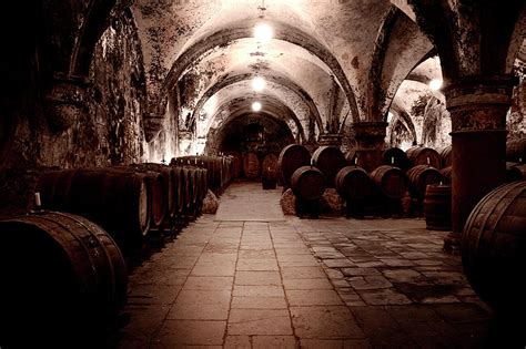 Medieval Wine Cellar Photograph by Ollo - Pixels