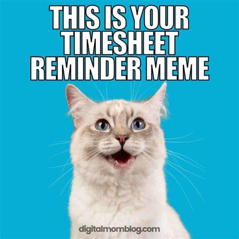 25 Funny Timesheet Memes And Reminders For The Forgetful