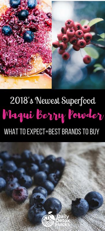 Maqui Berry Powder benefits, uses and where to buy. | Berries, Superfood, Superfruit