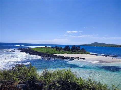 Floreana Island Tour Galapagos: Does It Worth It? - My Trip To Ecuador