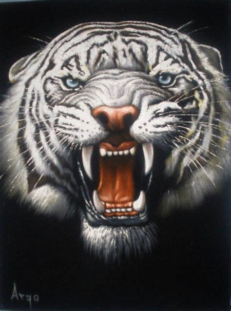 White Tiger Wild Animal Black Velvet Oil Painting Handpainted - Etsy