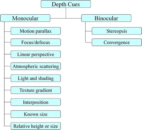 Interposition Monocular Cues