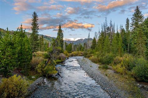 Camping in Medicine Bow-Routt National Forests & Thunder Basin National ...