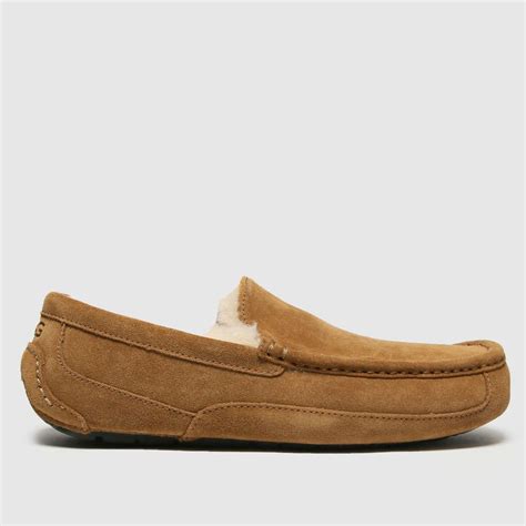 UGG Tan Ascot Slippers - ShoeFreak