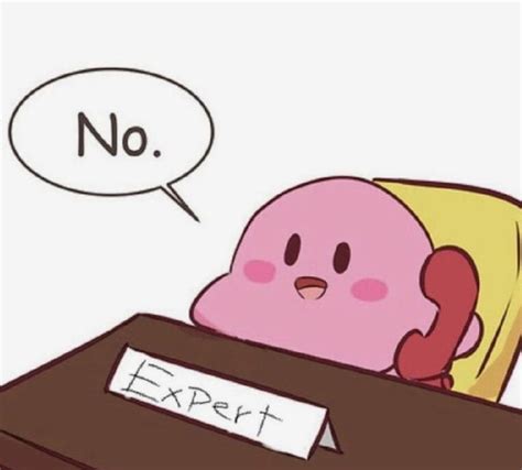 Pin by Shiro Kaneki on SK | Kirby memes, Cute memes, Kirby