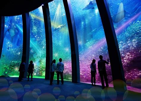 Top aquariums in Tokyo: 3 best aquariums in Tokyo and around | Aquarium, Tokyo, Travel