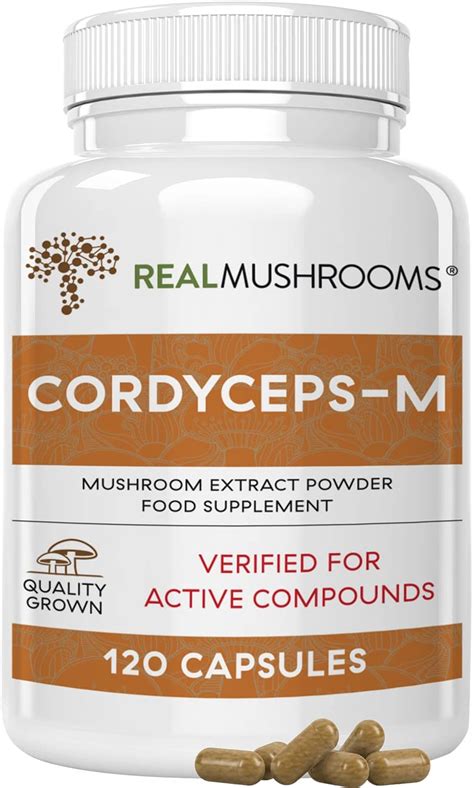 Amazon.com: Real Mushrooms Cordyceps Capsules - Performance Mushroom Extract Supplement with ...