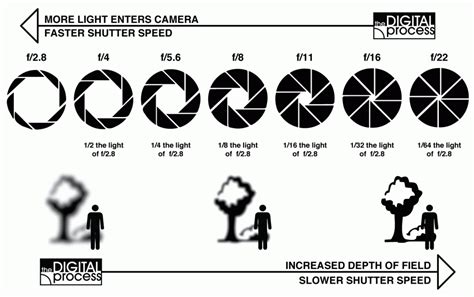 How to Take Better Pictures- Part 2: Camera Settings - Happily the Hicks