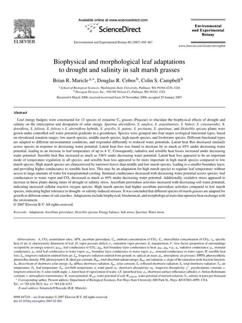 Biophysical and Morphological Leaf Adaptations to Drought and Salinity in Salt Marsh Grasses ...