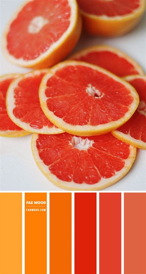 Grapefruit color palette – Color Palette #63 | Orange color palettes ...