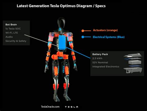 Tesla Investor Day: the ratio of humans to humanoid robots might exceed ...