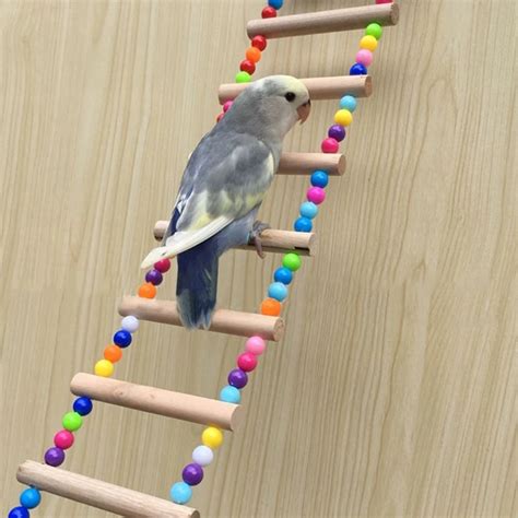 Bird Toys Wooden Ladders Rocking Scratcher Perch Climbing Stairs ...