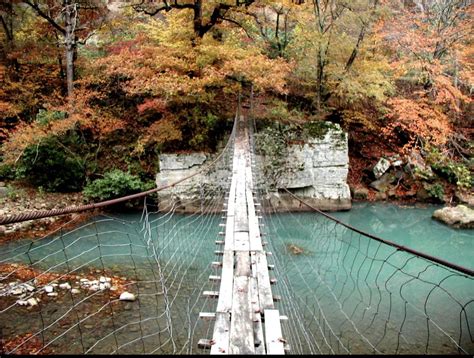 Catalpa Swinging Bridge | Ozark national forest, Ozark national park, Arkansas travel