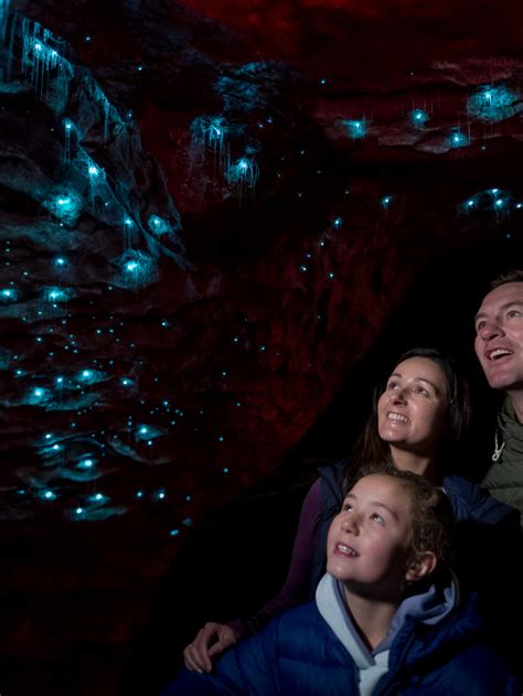 Te Anau Glowworm Caves Experience » VisitorPoint