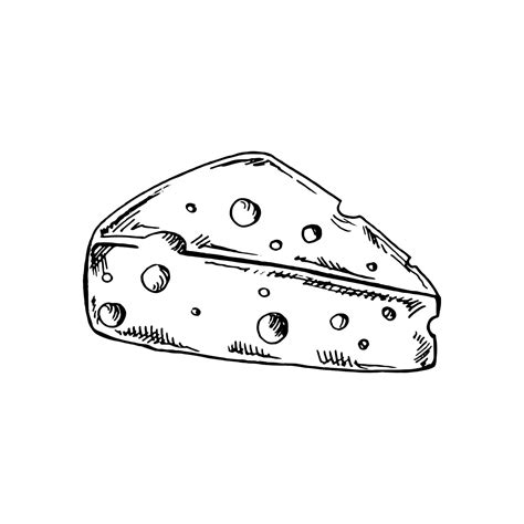 Hand drawn sketch piece of cheese. Vector black and white vintage illustration. Isolated object ...