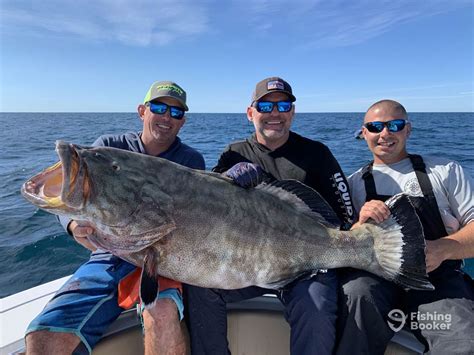 How to Go Grouper Fishing: An Angler’s Guide for 2024