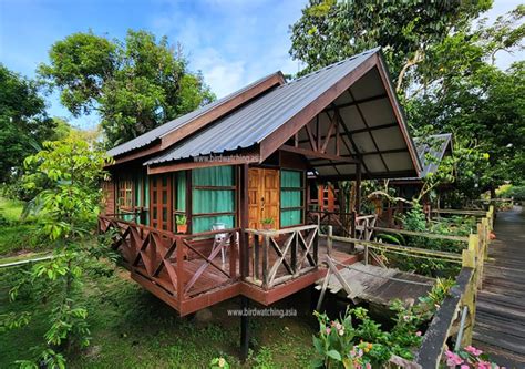 Borneo Sepilok Rainforest Resort Review - Bird Watching Asia