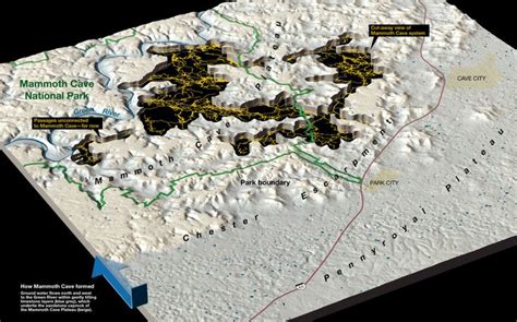 Mammoth Cave | Mammoth cave, Mammoth cave national park, Map