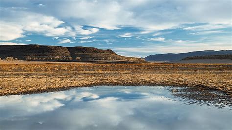 The Great Basin Desert - WorldAtlas