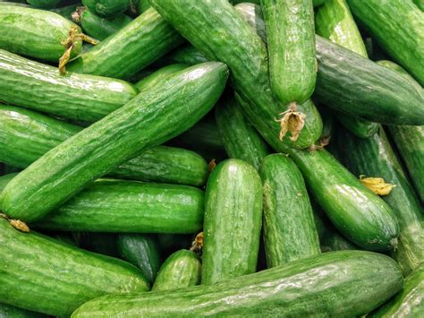 Nutritional Facts about Cucumbers - King West Chiropractic