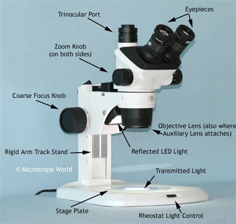 Microscope World Blog: Increasing Microscope Magnification