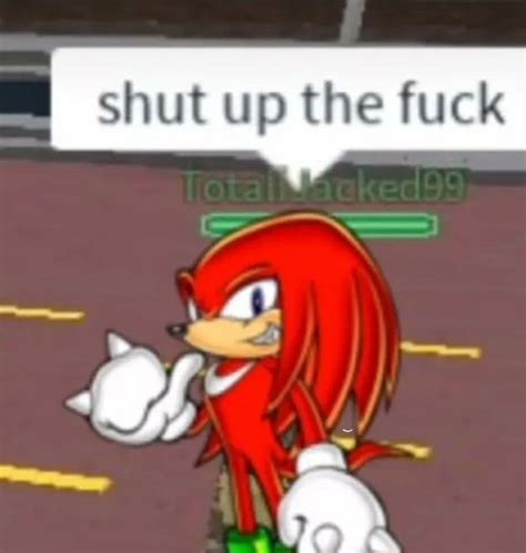 knuckles | Sonic funny, Funny images, Sonic and shadow