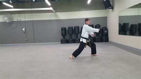 Taegeuk Sam Jang Taekwondo Form: Form #3 - YouTube