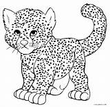 40 Cheetah Coloring Pages  ColoringPagesOnlycom sketch template