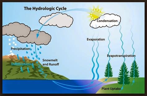 Thoughts to Promote Positive Action...: The Hydrologic Cycle