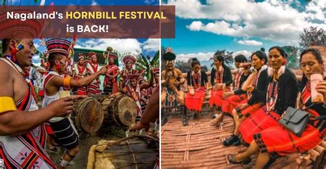 Nagalands Hornbill Festival is Back in Full Swing You Gotta Attend It ...