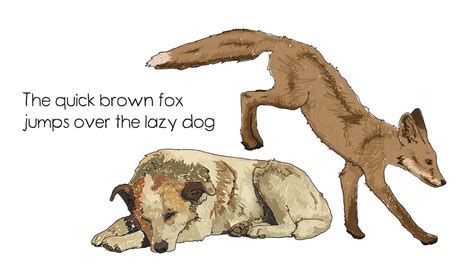 the quick brown fox jumps over the lazy dog | Mark Martucci Photography ...