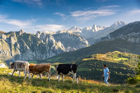 A Guide to Hiking in Asturias, Spain - Active-Traveller